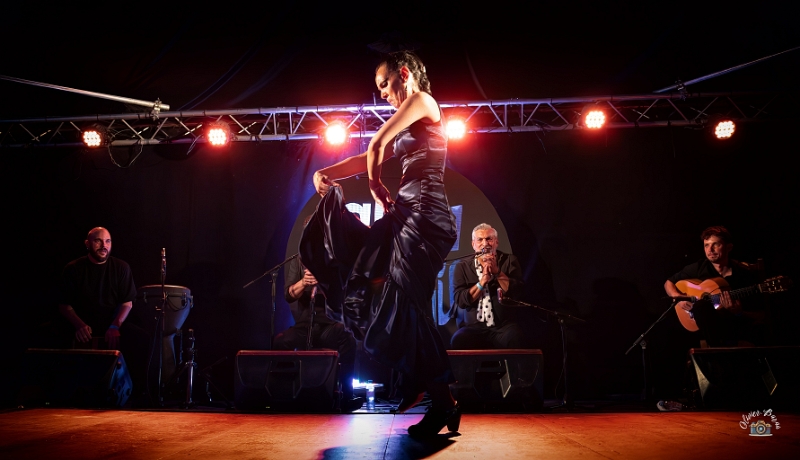 flamenco (111)